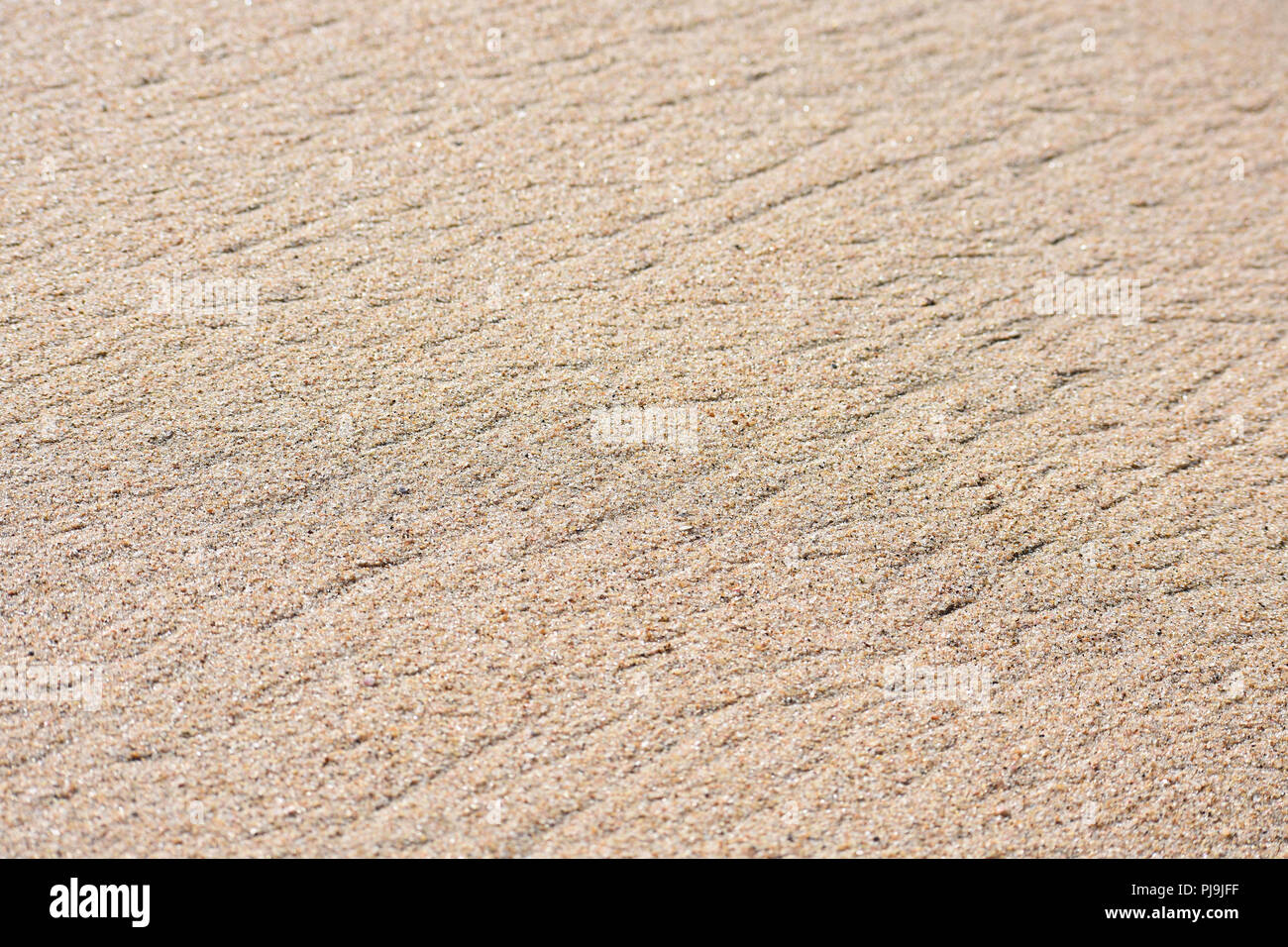 Flow Line Textured Natural Beach Sand Copy Space Stock Photo