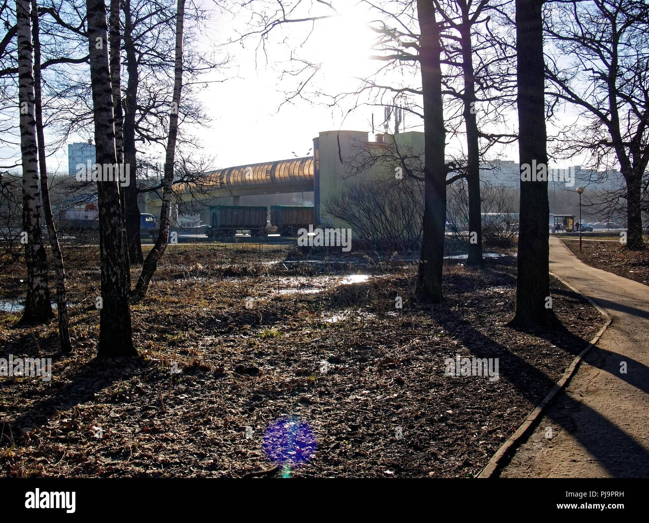 shadows from trees in spring Park, Moscow Stock Photo - Alamy