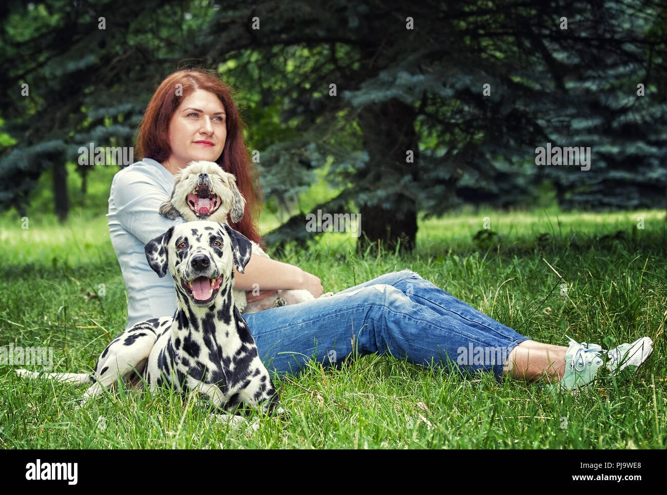Pretty beautiful woman with long dark hair with cute dalmatian dog and shitzu Stock Photo