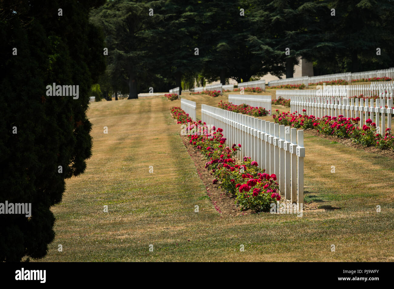 Cemetery outside of the Douaumont ossuary near Verdun France. Memorial of the soldiers who died on the battlefield during the Battle of Verdun in Worl Stock Photo
