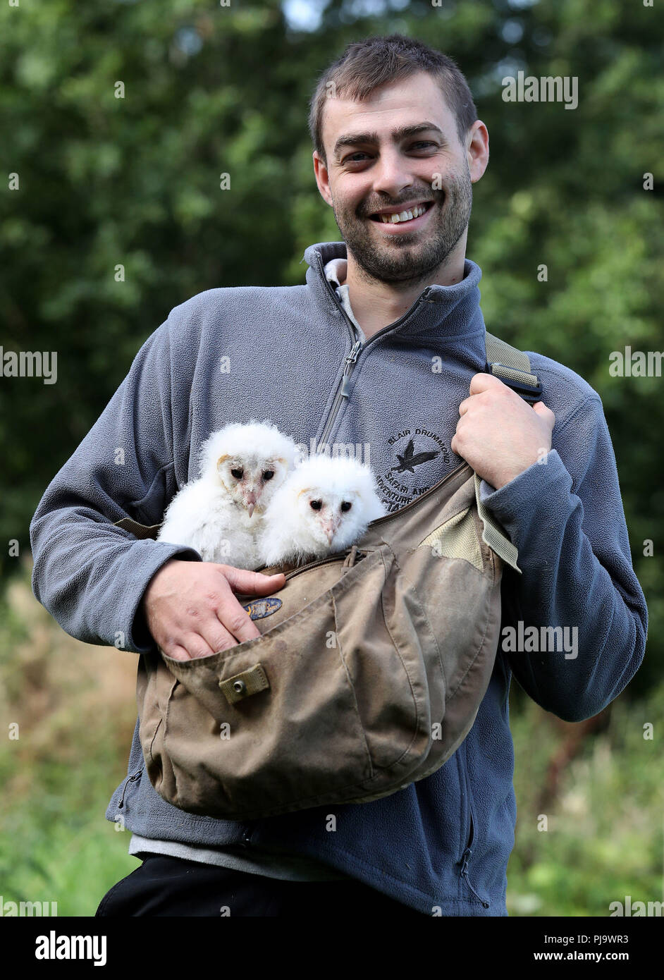 Peek and Boo the four week old barn owls chicks at Blair Drummond Safari Park. The chicks are being hand reared by their keeper Dominic King (pictured), a process called imprinting which involves them spending as much time as possible with their keeper. Stock Photo