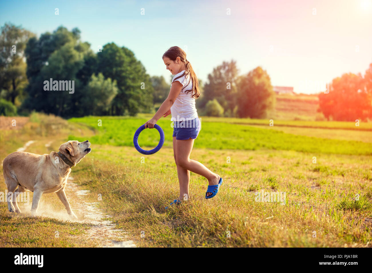 Young girl with Labrador retriever dog walking on the field. Dog looking at the girl Stock Photo