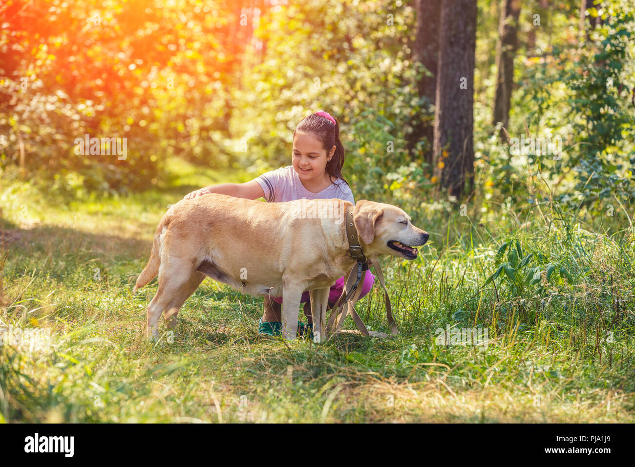 Portrait of the happy young girl petting the Labrador retriever dog ...
