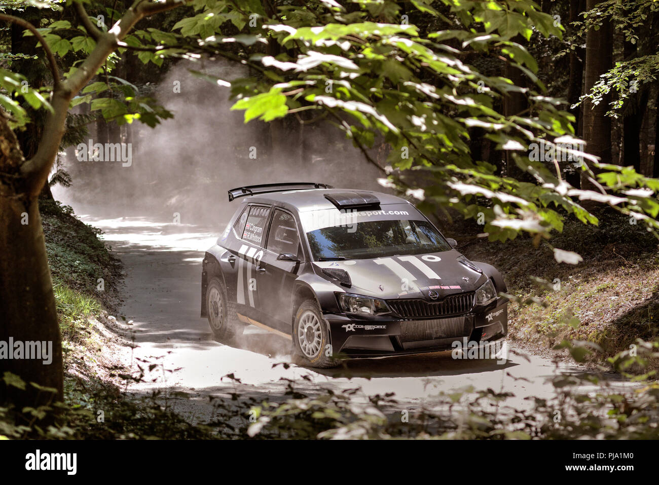 Rally car on forest stage at goodwood festival of speed hi-res stock  photography and images - Alamy