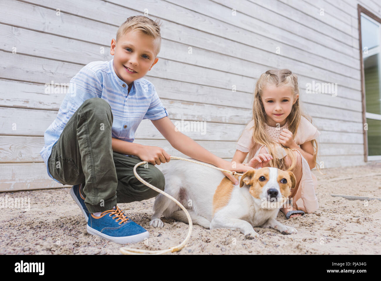 siblings playing with dog at animals shelter and choosing for adoption Stock Photo
