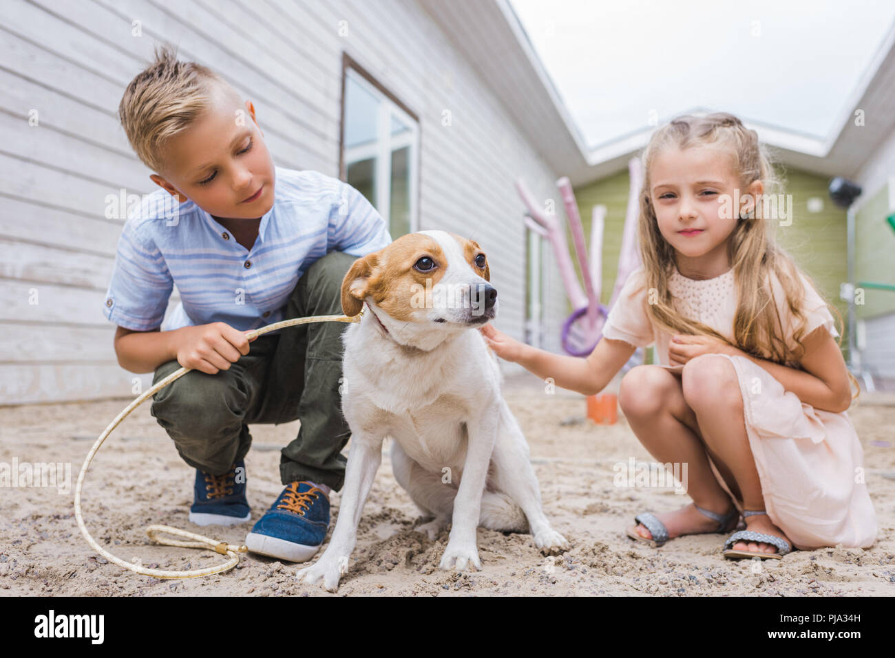 brother and sister playing with dog at animals shelter and choosing for adoption Stock Photo