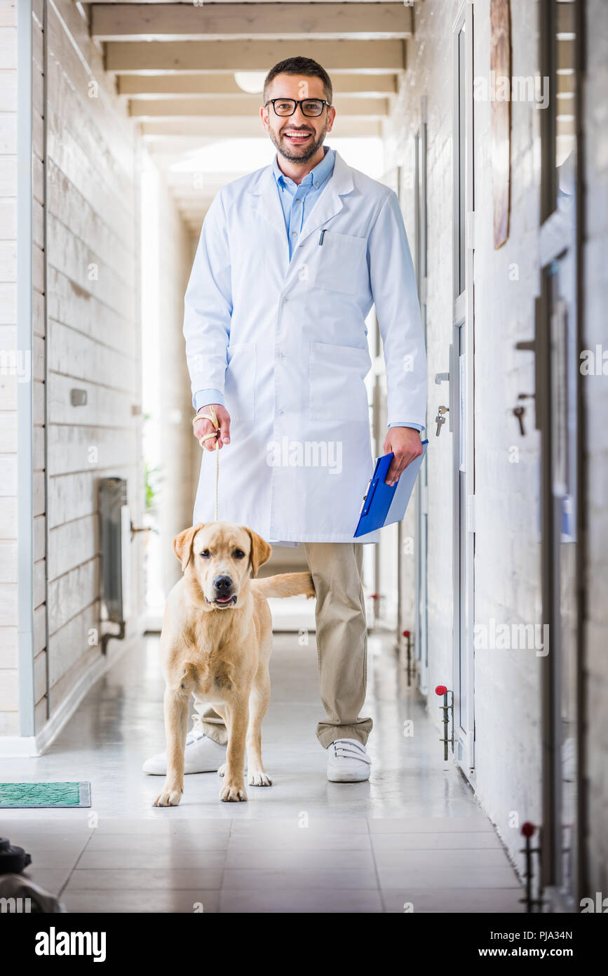 labrador veterinary clinic