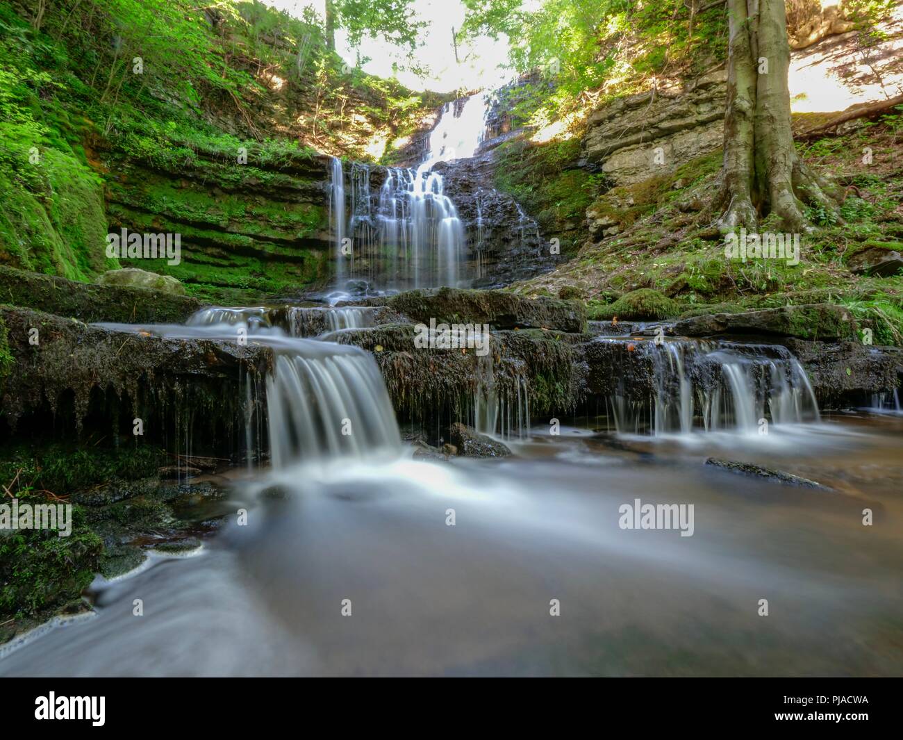 Settle, UK. 5th September 2018. UK Weather unusually hot sunny September day at Scaleber Force Waterfall, High Hill lane, Settle, Yorkshire Credit: Doug Blane/Alamy Live News Stock Photo