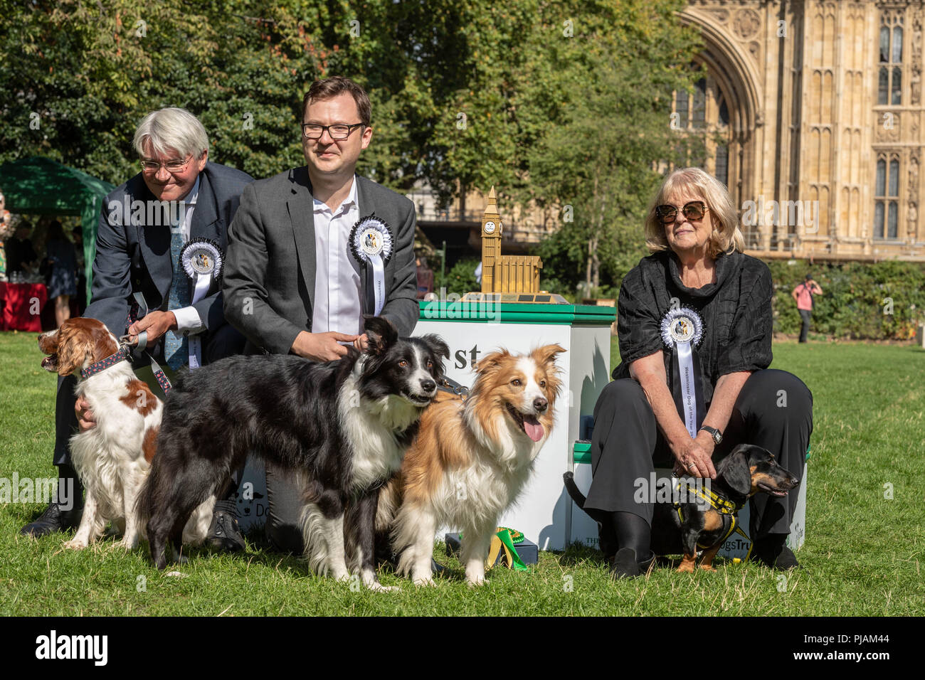 London, UK. 6th September 2018 Westminster Dog of the year event in Victoria Tower Gardens, London, UK. The winners of the competition, Andrew Mitchell MP who came second, (left) Alex Norris MP, 1st, (center) and Cheryly Gillian MP third Credit Ian Davidson/Alamy Live News Stock Photo
