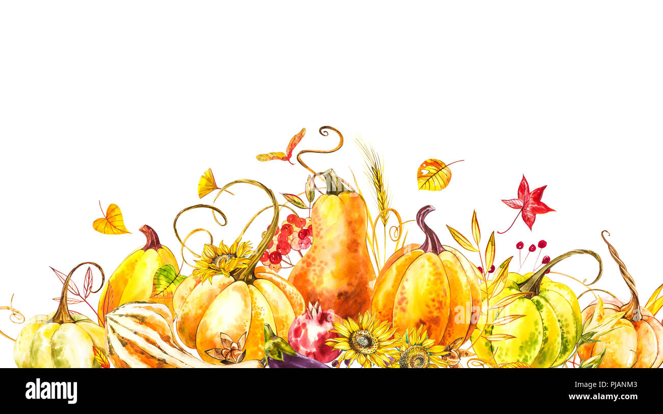 Pumpkins composition. Hand drawn watercolor painting on white ...