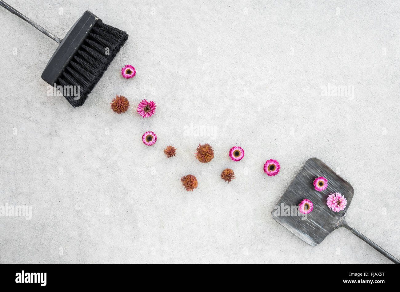 Pink flowers, black brush and iron dustpan, on concrete floor background. Change of seasons