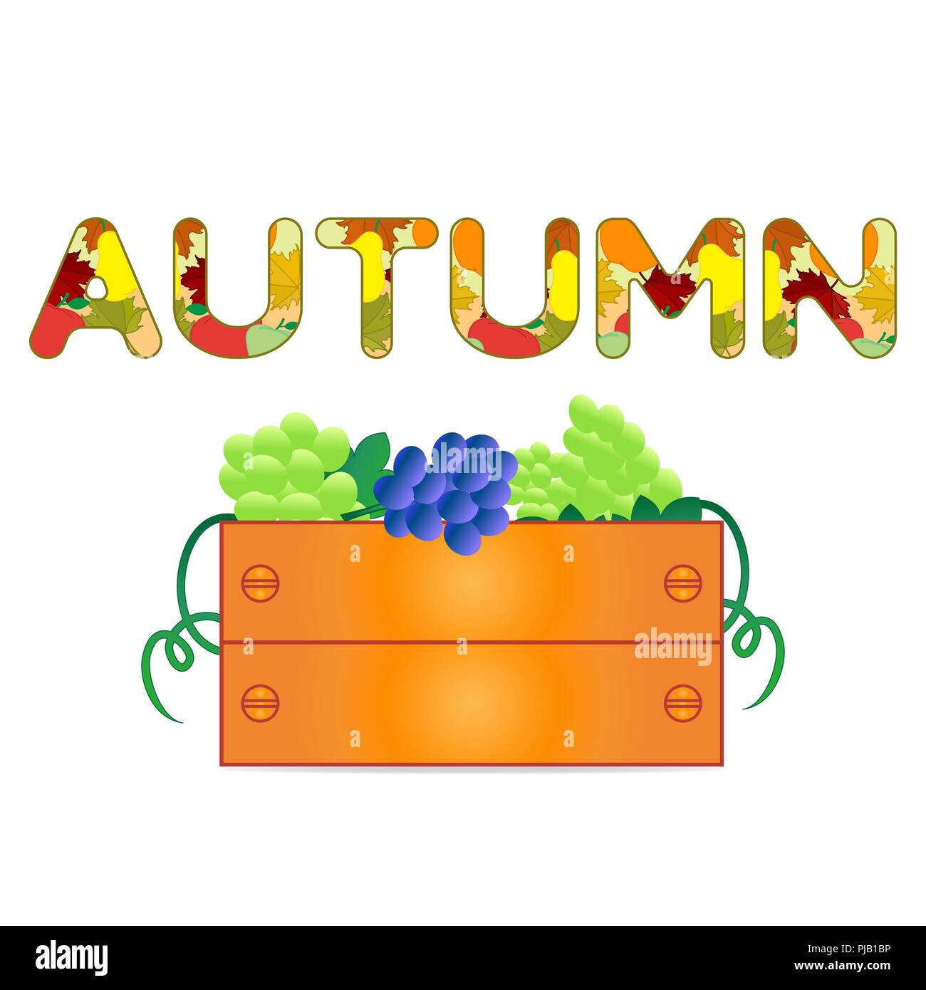 Grapes in boxes. Raw materials for wine and juice production. Design