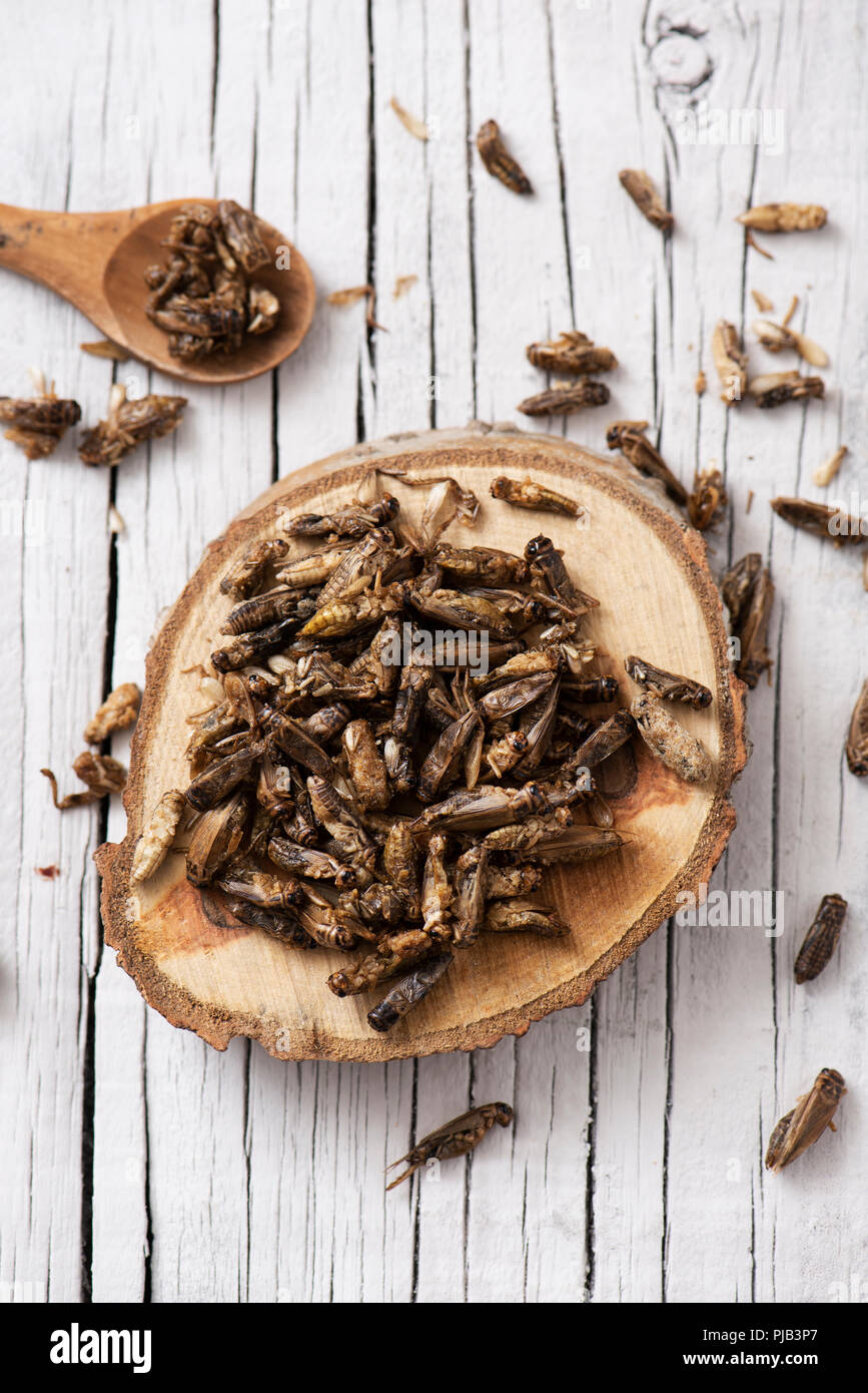 high angle view of a pile of fried crickets seasoned with onion and barbecue sauce, in a wooden tray, on a rustic white wooden table Stock Photo