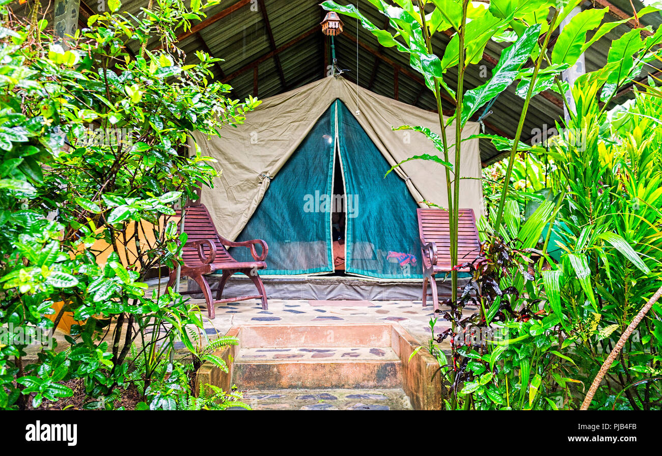 boiler Ijsbeer Beraadslagen Tent at Elephant Hills Luxury Tented Camp Khao Sok, Thailand Stock Photo -  Alamy