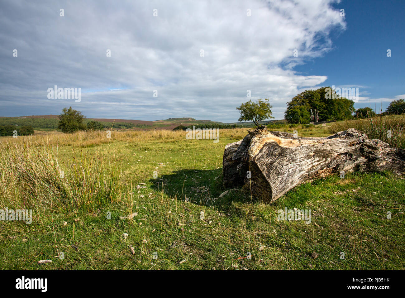 A view across moorland to Burbage Edge from the Longshaw Estate in the Peak District. Stock Photo