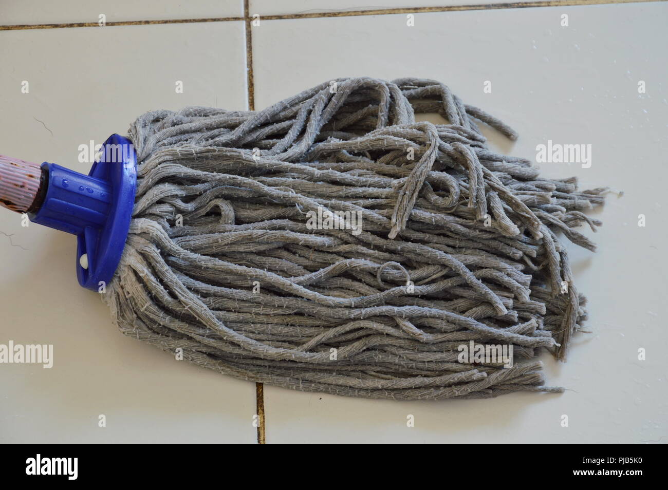 mop the tile floor in home Stock Photo Alamy