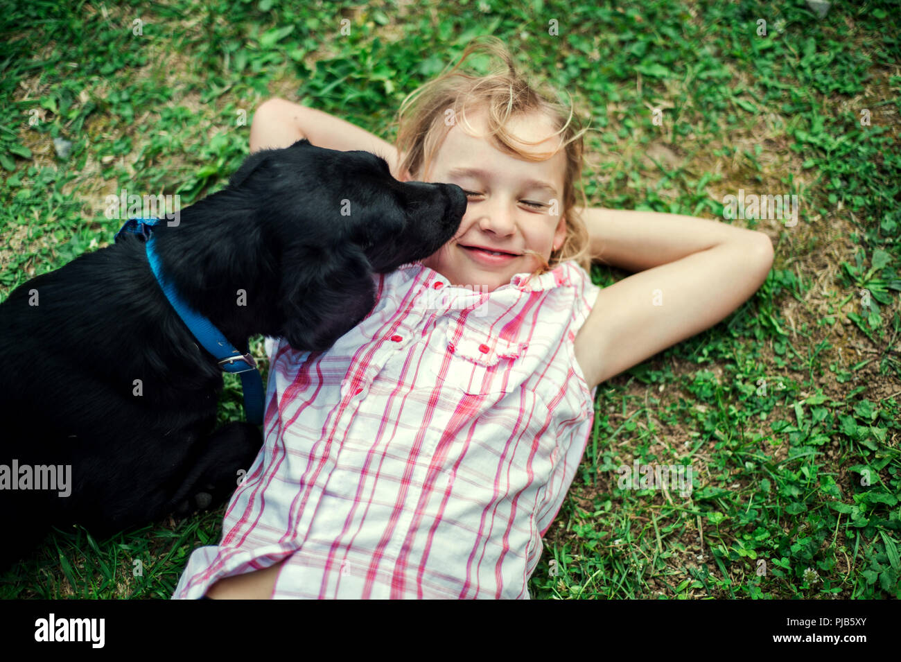 A small girl lying down on grass, a black dog licking her face. Stock Photo