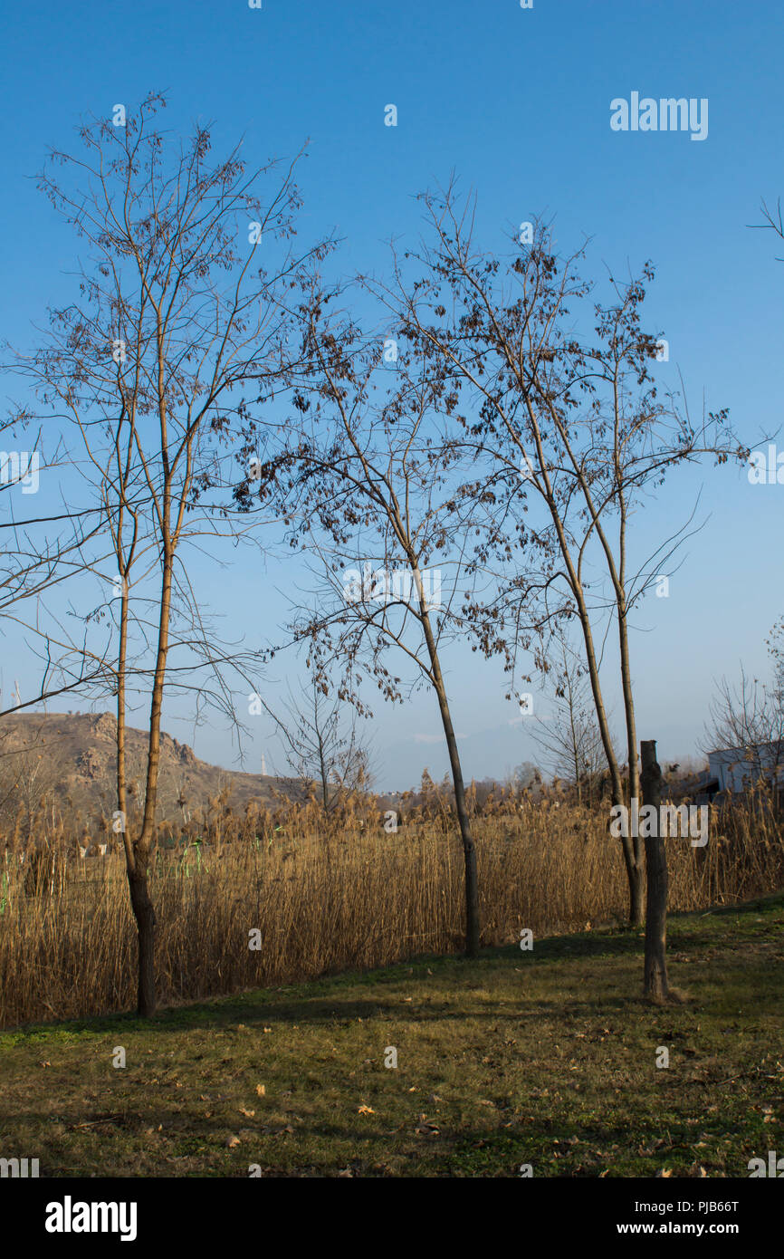 TEMPLE OF VANGA, BULGARIA - JANUARY 3, 2014: Autumn view of Temple of ...