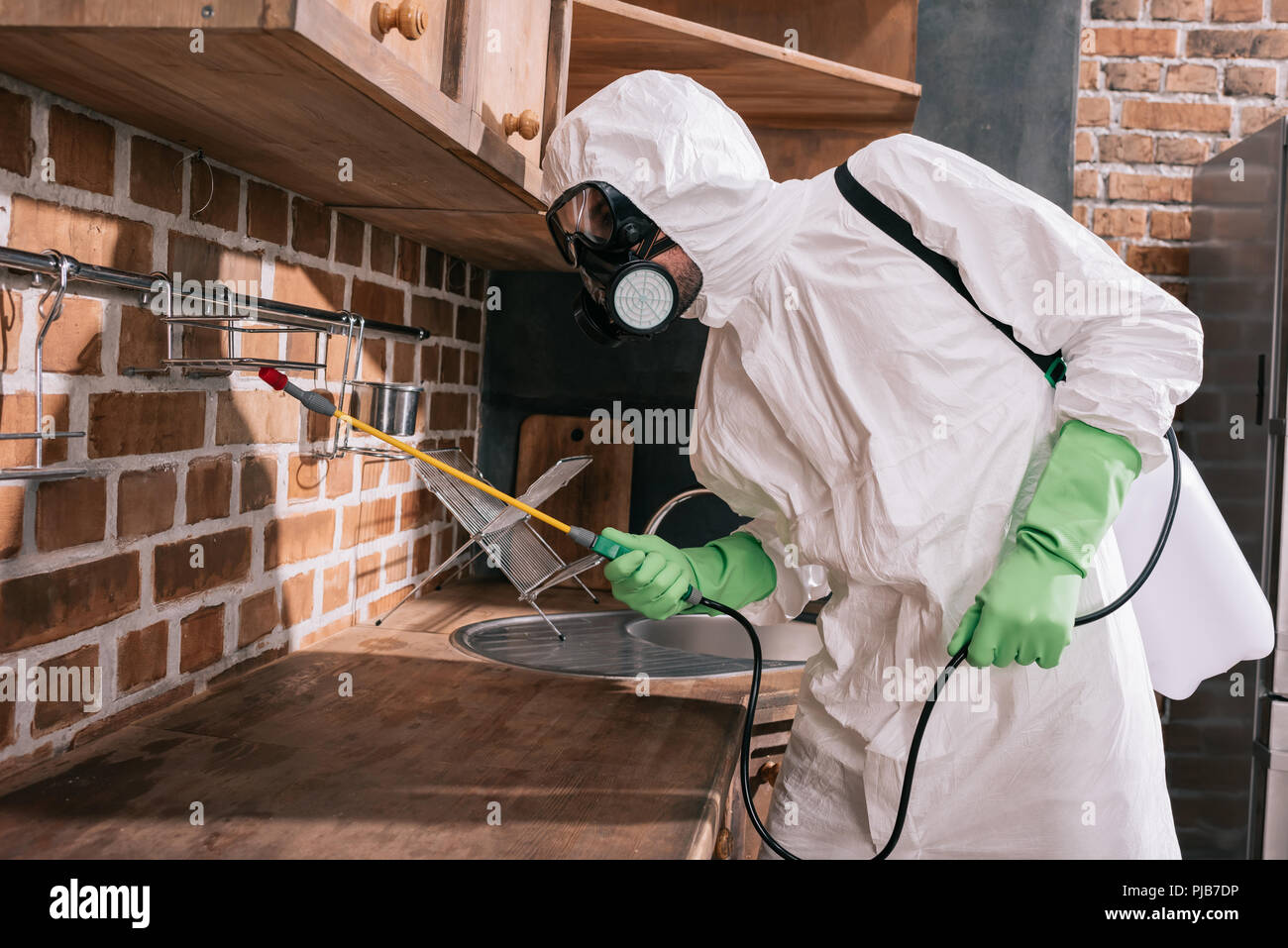 Are Venus flytraps good for pest control in Calgary? side view of pest control worker spraying pesticides on shelves in kitchen Stock Photo - Alamy