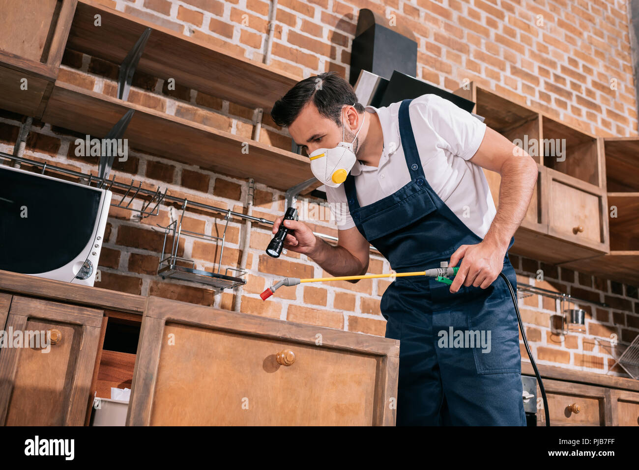 pest control worker spraying pesticides in kitchen and using flashlight