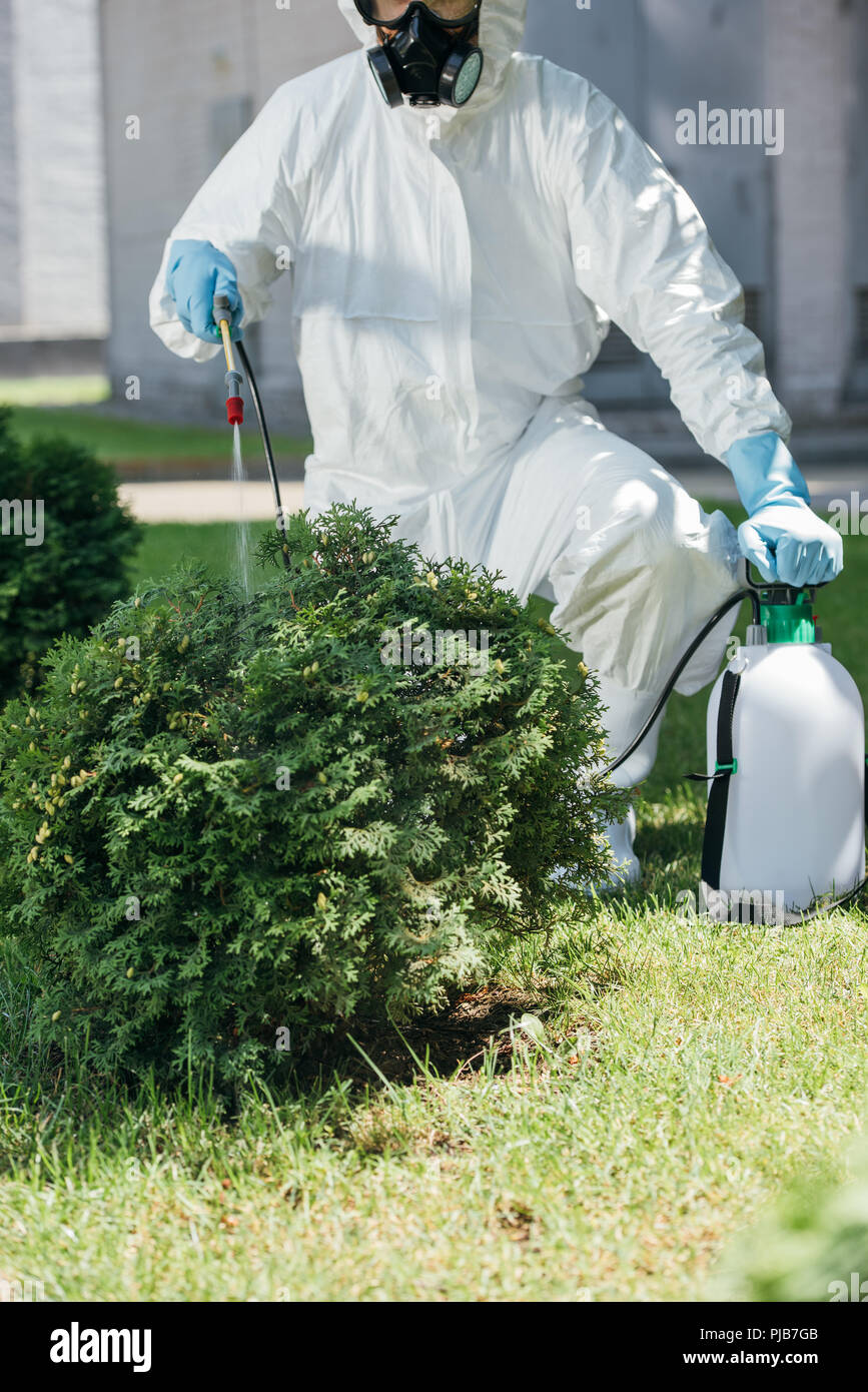 Spraying insecticide street hi-res stock photography and images - Alamy