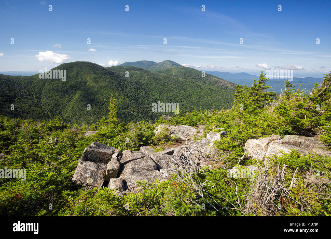 View of mountain landscape from along the Mittersill-Cannon Trail on Mittersill Mountain in the New Hampshire White Mountains during the summer months Stock Photo
