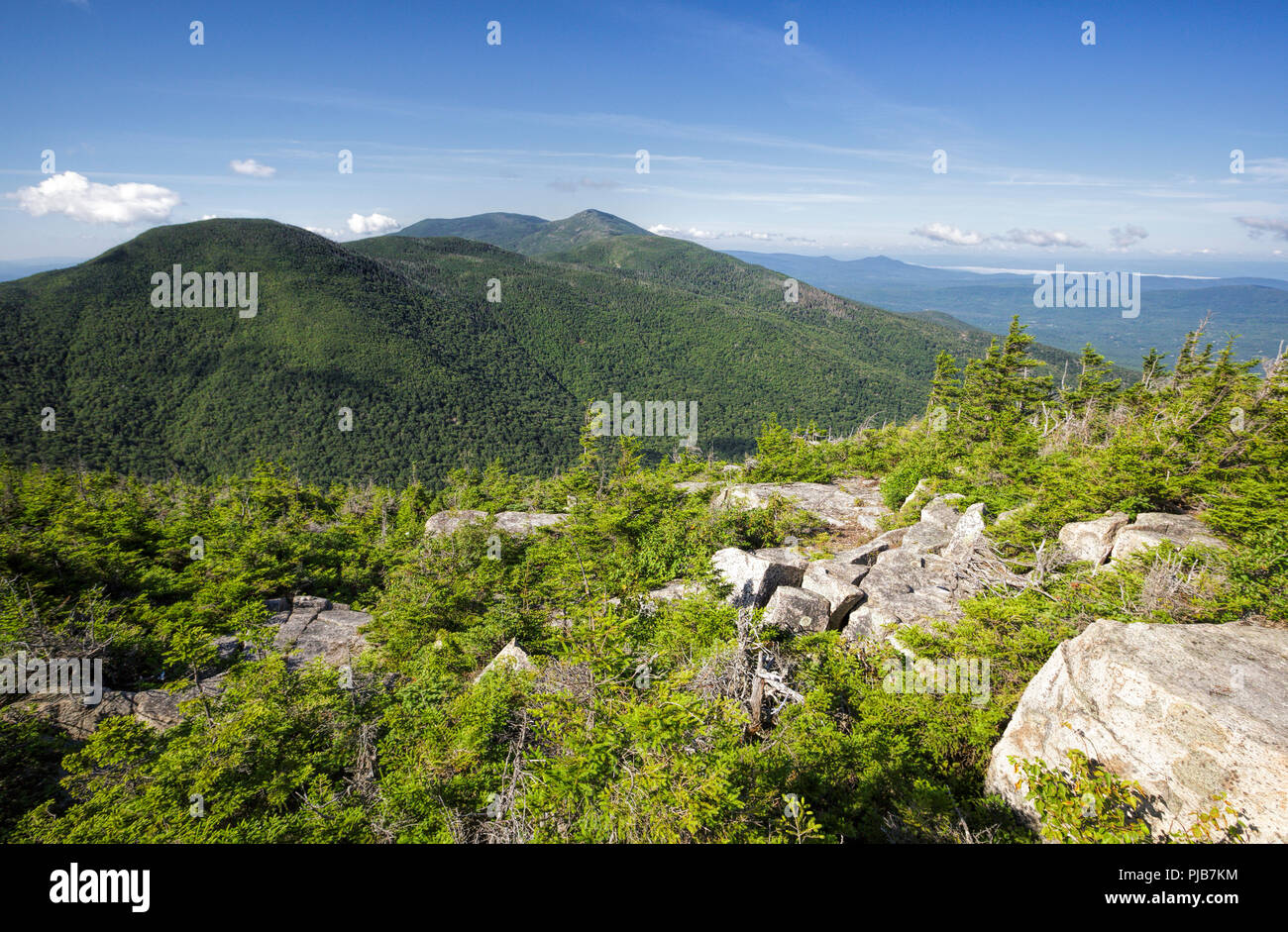 View of mountain landscape from along the Mittersill-Cannon Trail on Mittersill Mountain in the New Hampshire White Mountains during the summer months Stock Photo