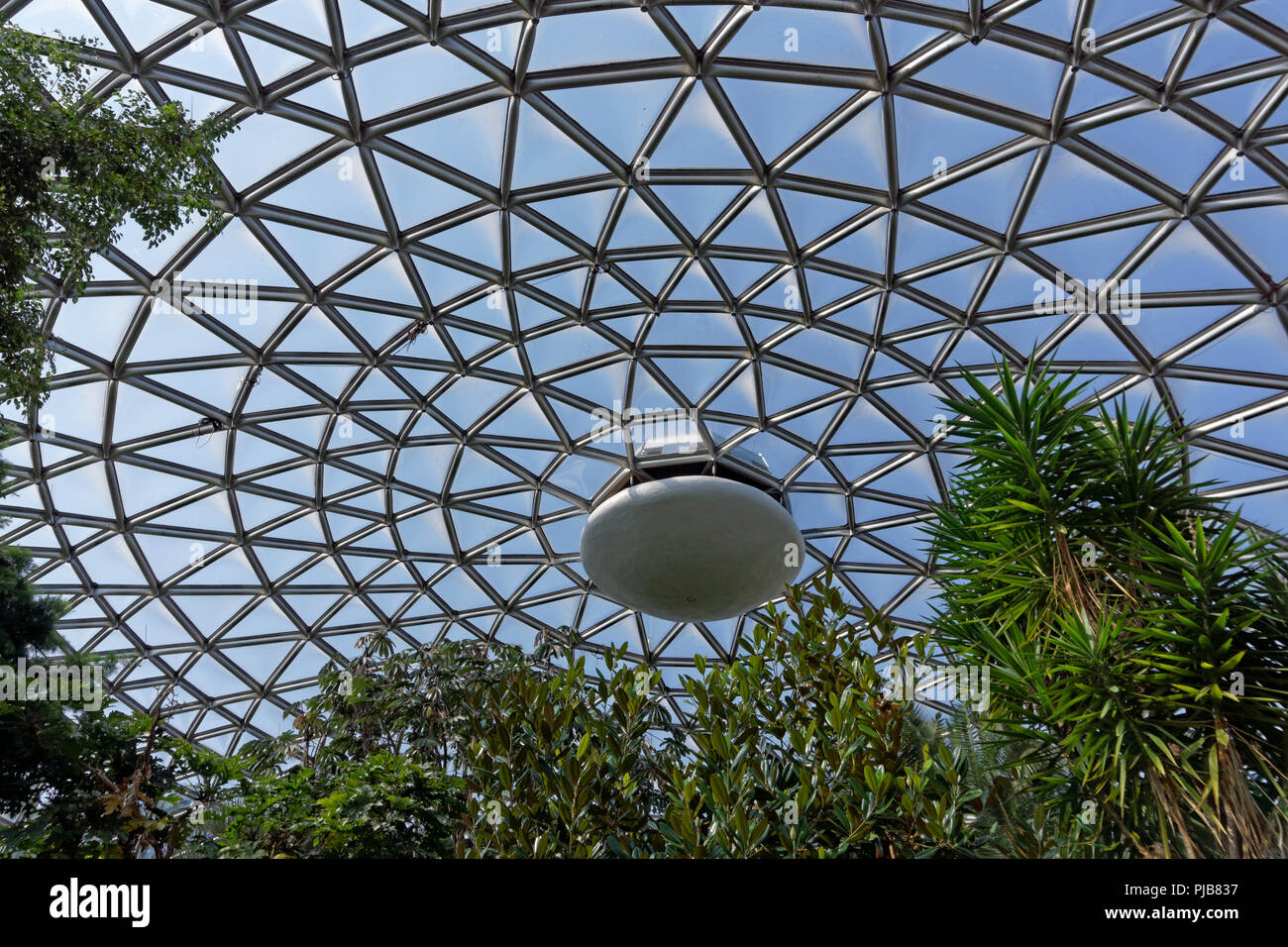 Tropical plants and Triodetic dome of the Bloedel Conservatory in Queen Elizabeth Park, Vancouver, BC, Canada Stock Photo