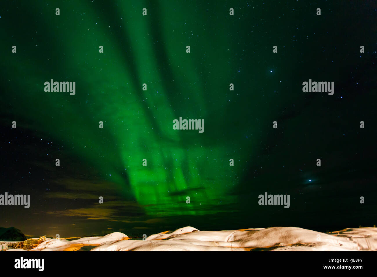 Nordlichter über Laukvik, Norwegen, Lofoten Stock Photo