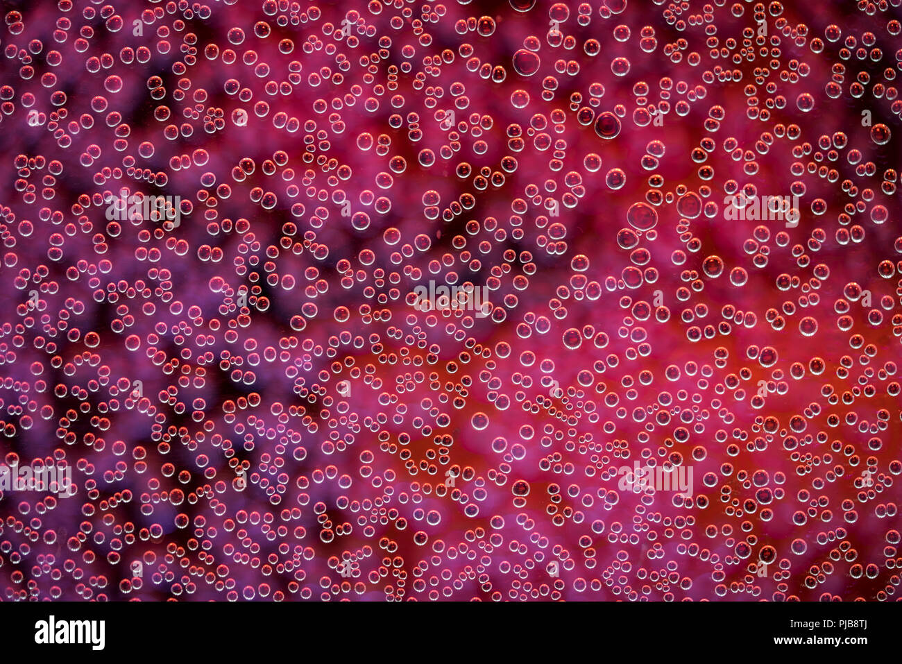 Highly detailed texture of gaseous liquid with sparkling red bubbles Stock Photo