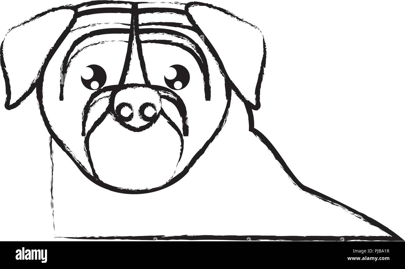 pug dog icon over white background, vector illustration Stock Vector