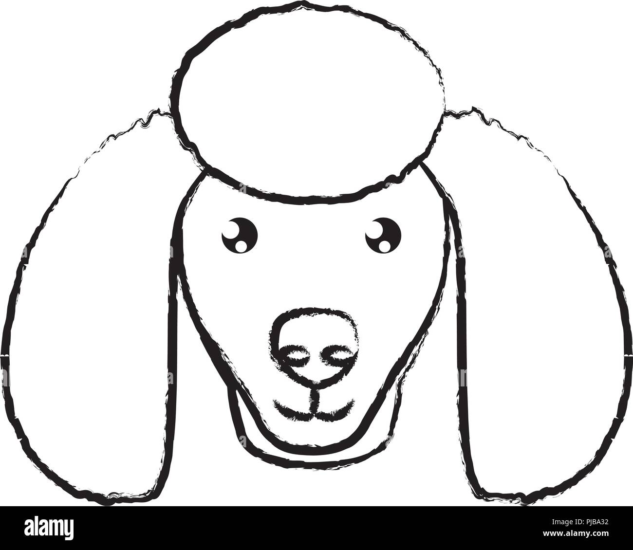 cute poodle dog icon over background, vector illustration Stock Vector ...