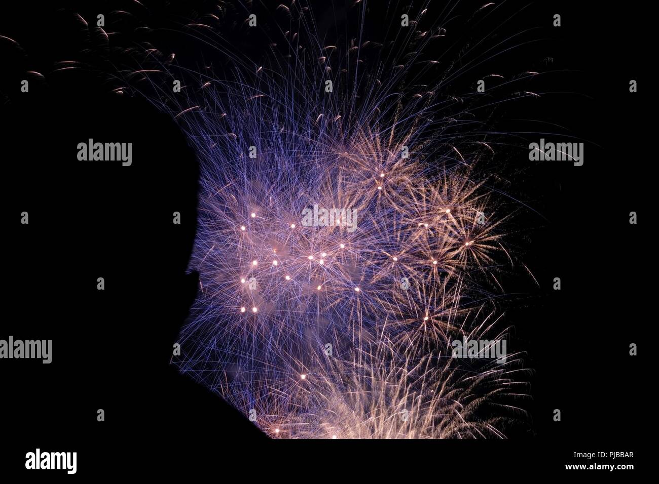 A Soldier watches the fireworks display during Freedom Fest held at