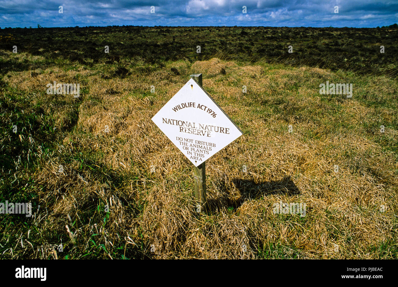 Clara Bog, County Offlay, Ireland, Europe Stock Photo - Alamy
