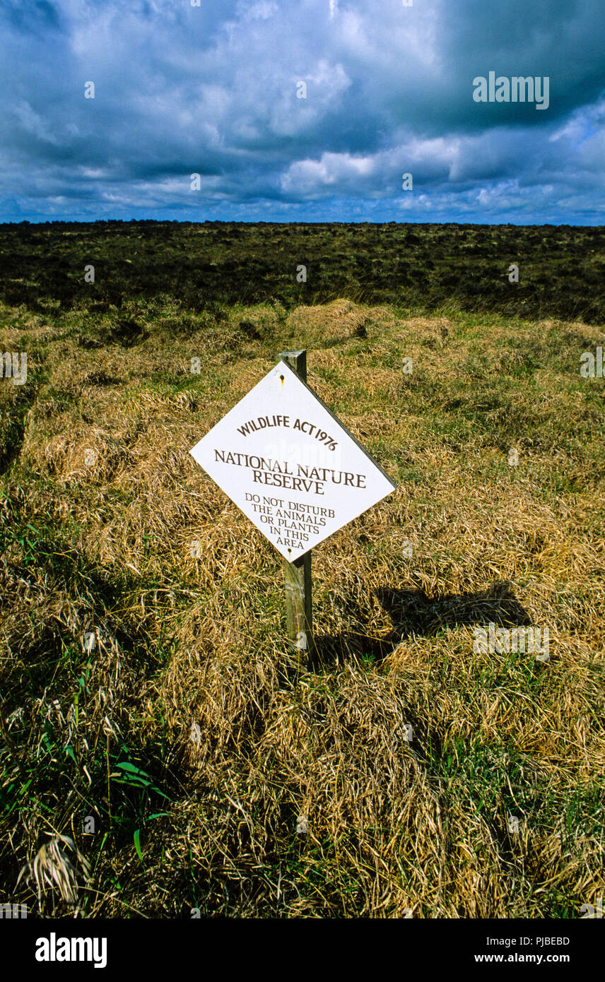 Clara bog nature reserve hi-res stock photography and images - Alamy