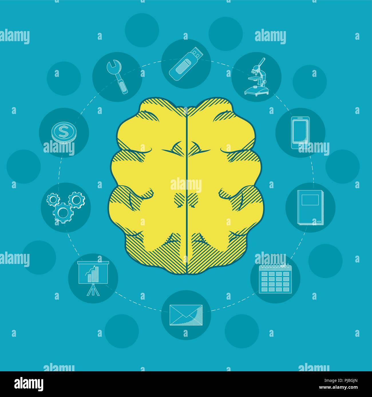 Brain and education Stock Vector