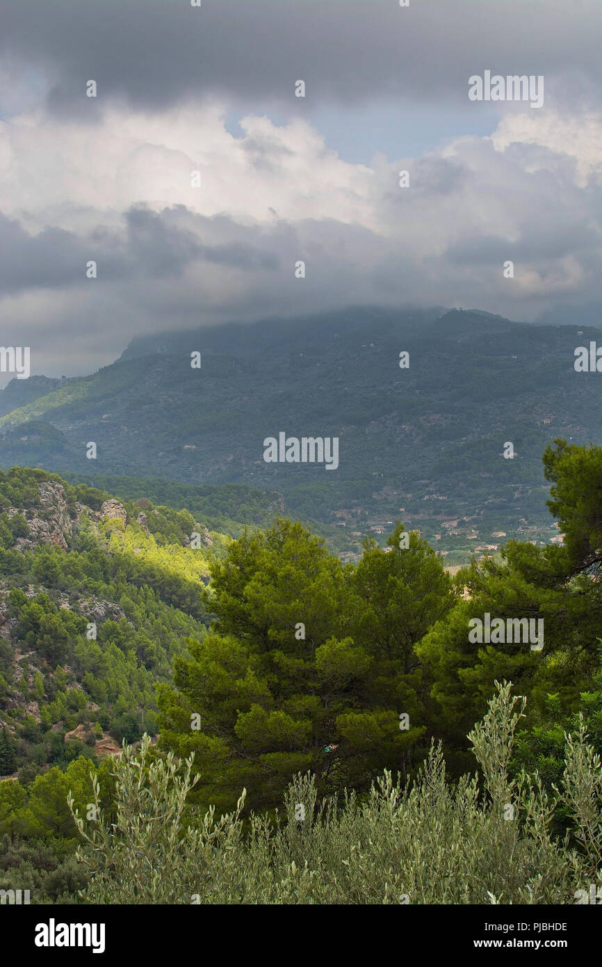Majestic mountain landscape with sun and shade and green nuances before thunderstorm in August, Mallorca, Spain. Stock Photo