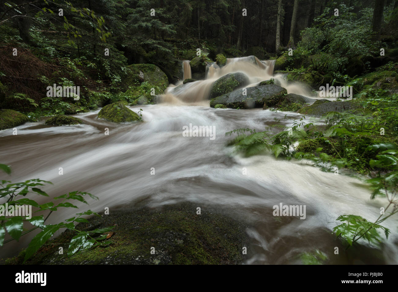 Waterfall, Woodland, Forest, Waldviertel, Lohnbachfälle, Lower Austria, Austria Stock Photo