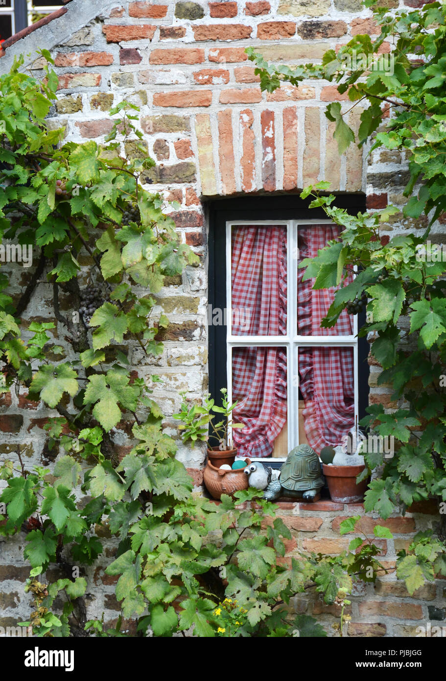 Old windows of houses in Brugge, Belgium Stock Photo - Alamy
