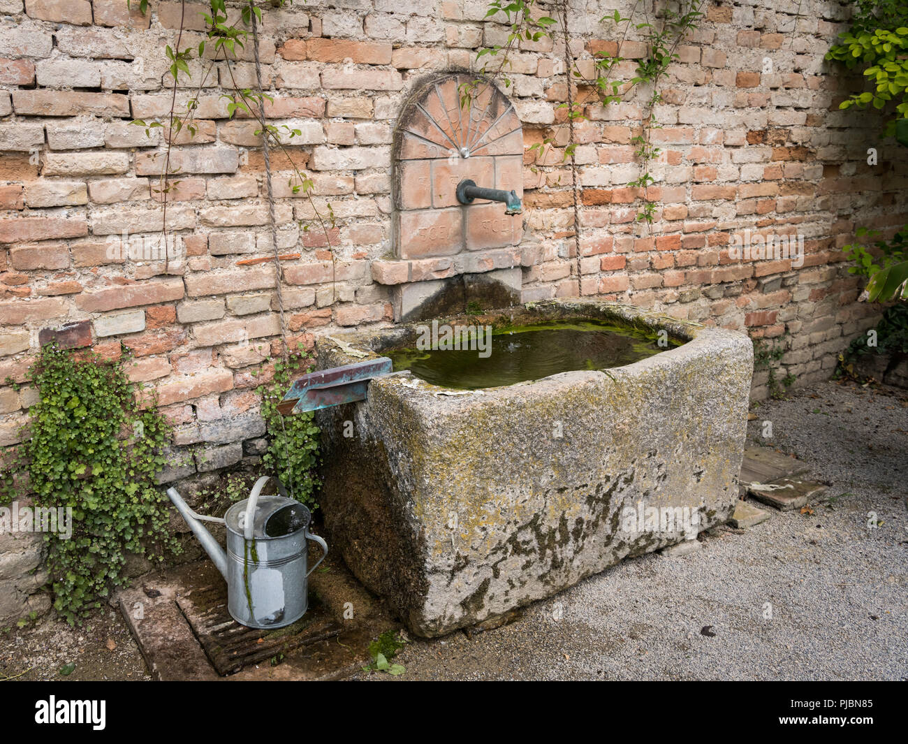 Stone trough standing in front of a brick wall in a garden Stock Photo