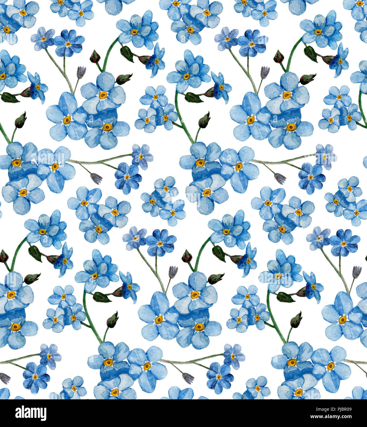 Blue forget-me-not flowers. Vector illustration Stock Vector Image & Art -  Alamy