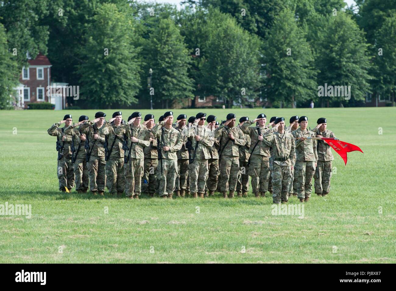 The units salute as the 19th Engineer Battalion Change of Command gets