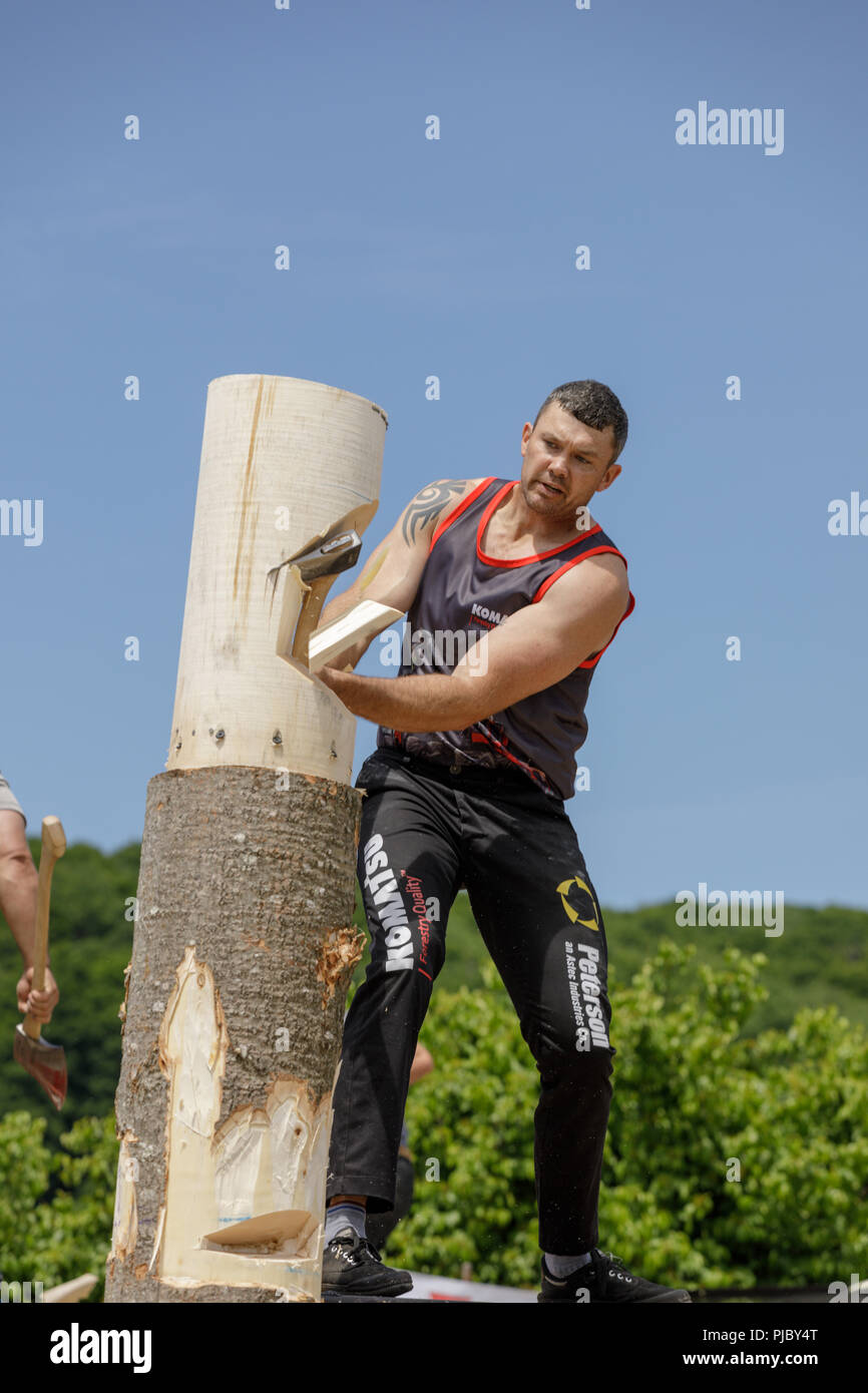Lumberjack competition, Cherry Valley Outdoor Games, Otsego County, New York State. Stock Photo