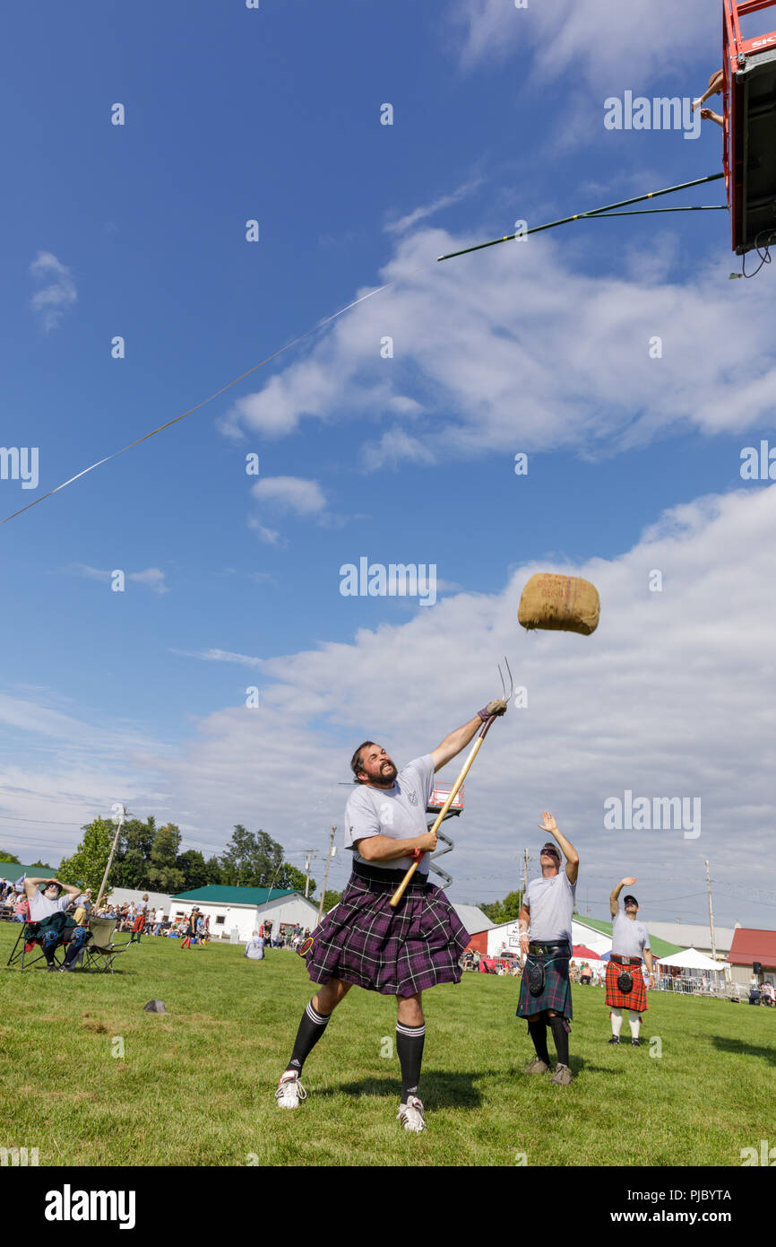 Sheaf hires stock photography and images Alamy