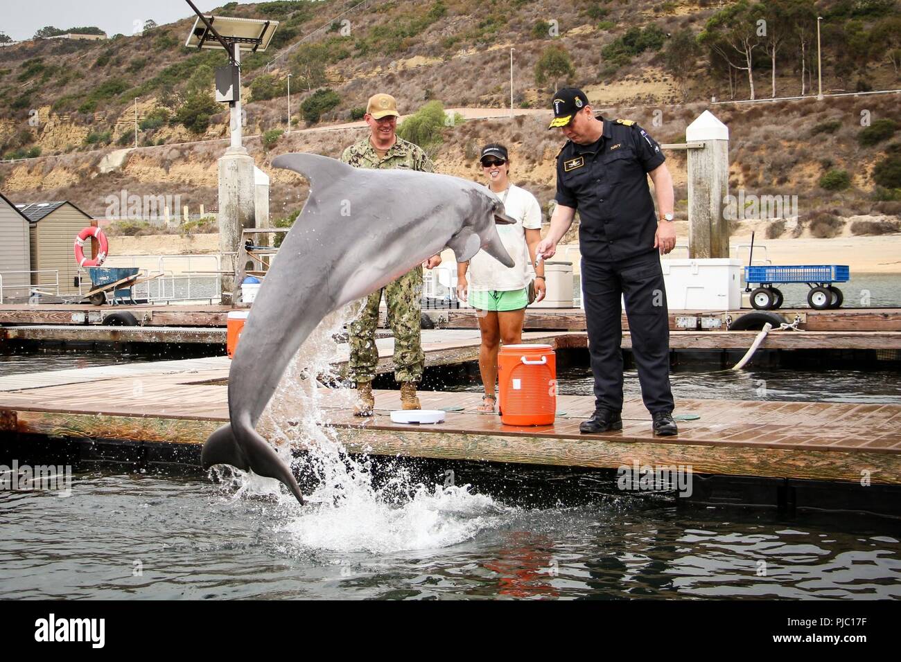NAVAL BASE POINT LOMA, California (July 17, 2018)  Royal New Zealand Navy (RNZN) Commodore Tony Millar, maritime component commander and representative of the Chief of Navy (New Zealand), right, tosses a fish to a bottlenose dolphin from the Marine Mammals Systems Project during a visit onboard Naval Base Point Loma. Twenty-five nations, 46 ships, five submarines, about 200 aircraft and 25,000 personnel are participating in RIMPAC from June 27 to Aug. 2 in and around the Hawaiian Islands and Southern California. The world’s largest international maritime exercise, RIMPAC provides a unique trai Stock Photo