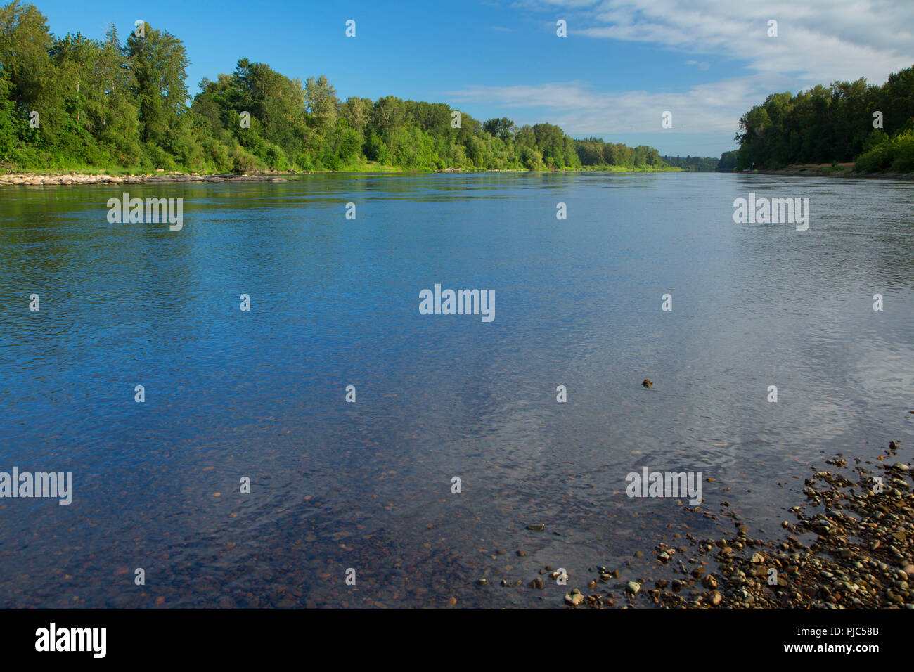 Willamette River, Keizer Rapids Park, Keizer, Oregon Stock Photo - Alamy