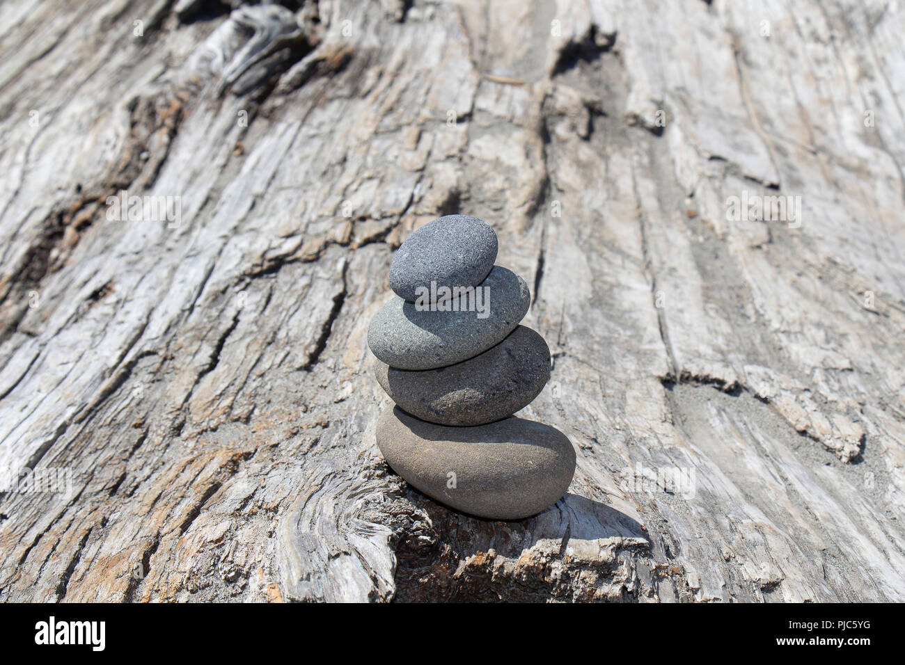 Four smooth stones balanced atop a large driftwood log in La Push, Washington (Quileute Reservation), USA. Stock Photo