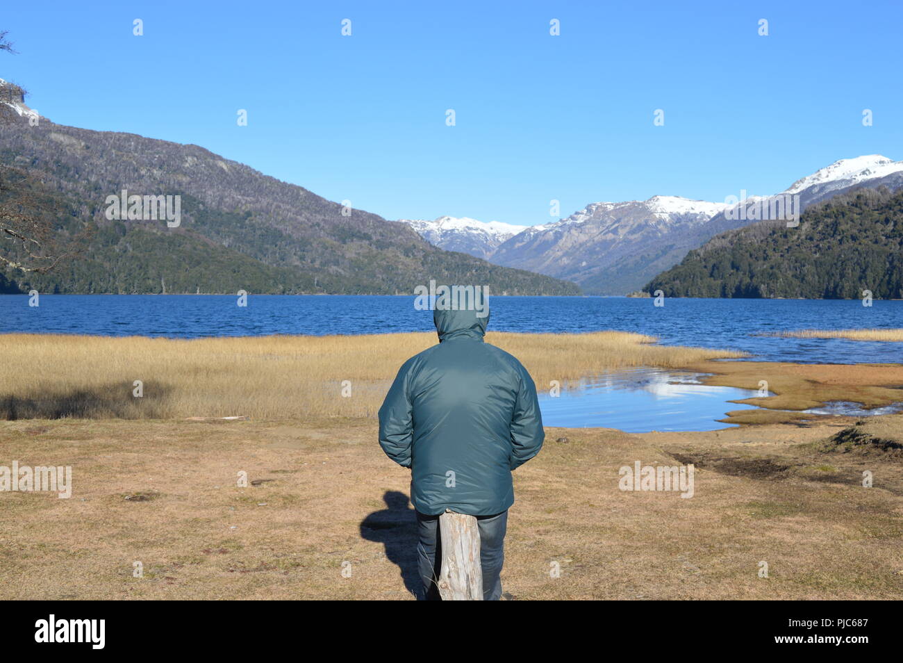 Sur Argentino, Lago Falkner Stock Photo