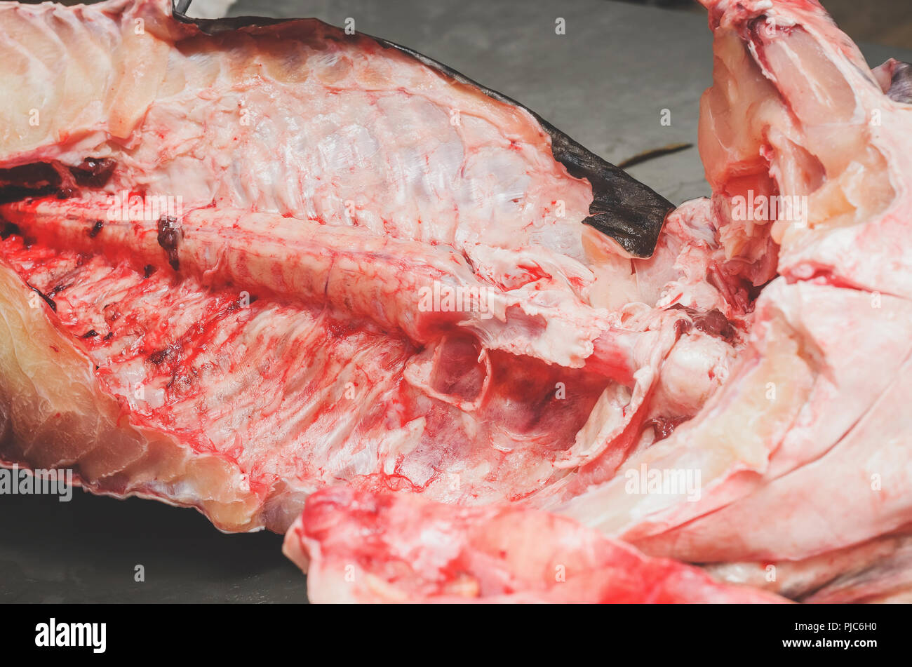 Pintado fish cutted in half. Brazilian Pintado fish, leather fish with rounded black spots on the body. Stock Photo