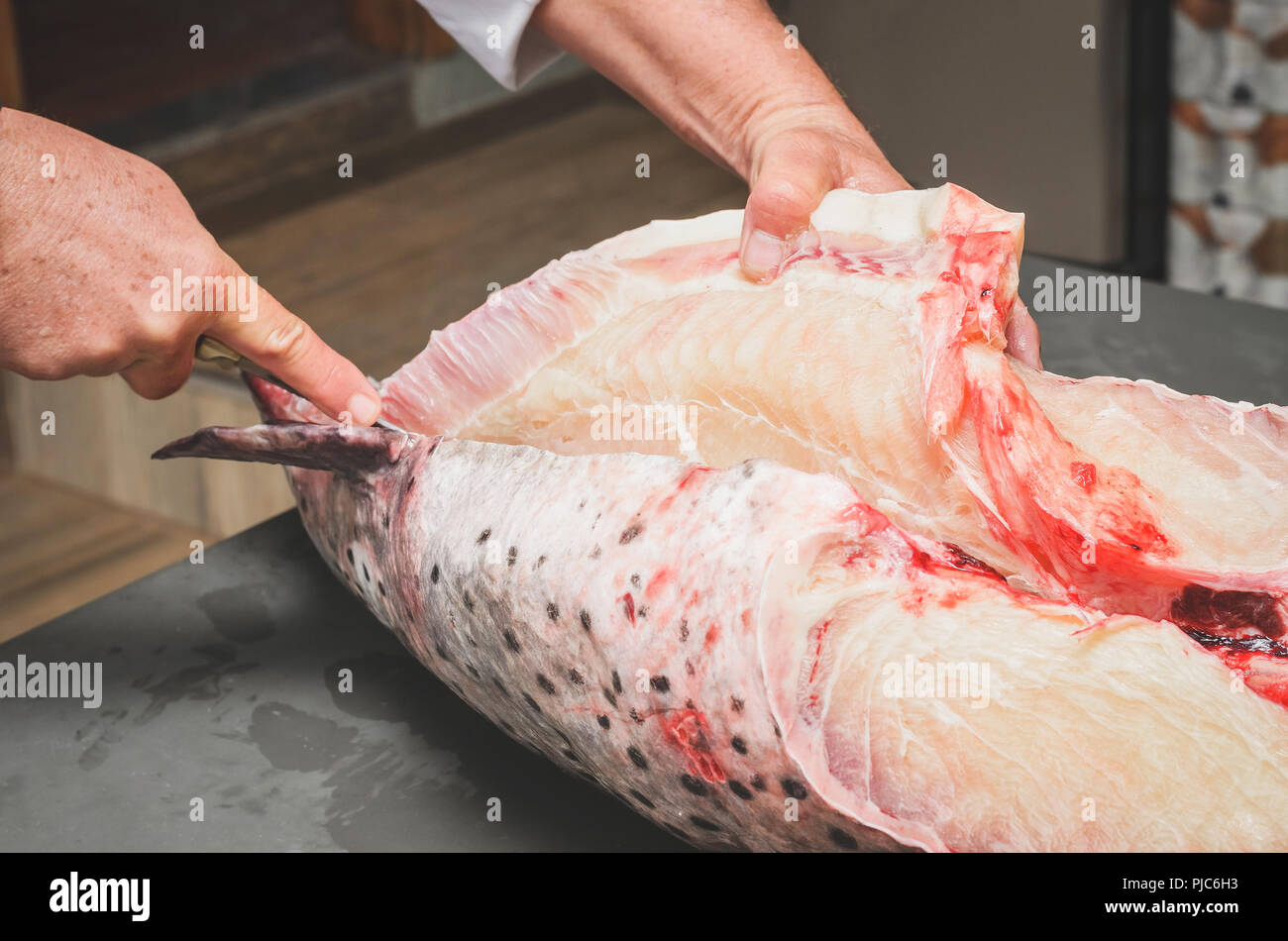 Cleaning the fish and cutting it. Hands of a fishmonger slicing Pintado fish. Pintado fish cutted in half. Brazilian Pintado fish, leather fish with r Stock Photo